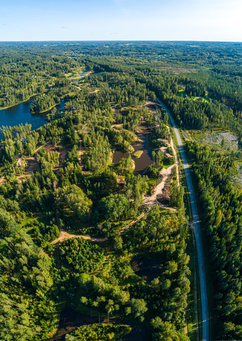 Aerial view of a dense forest landscape featuring a winding road small ponds and lush green trees in Latvia. Aerial view of a dense forest landscape featuring a winding road small ponds and lush green trees in Latvia.