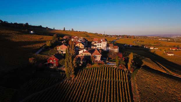 Aerial view of Fechy Dessus village with its historic church and traditional houses surrounded by golden autumn vineyards in Fechy Vaud Switzerland.