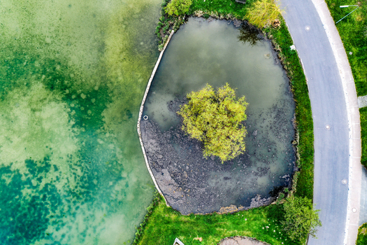 Aerial view of a small pond with a central tree and a curved road next to the Ailsbach stream in Lonnerstadt Bayern Germany. Aerial view of a small pond with a central tree and a curved road next to the Ailsbach stream in Lonnerstadt Bayern Germany.