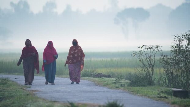 View of women walking on a rural road in misty fields Bangladesh. View of women walking on a rural road in misty fields Bangladesh.
