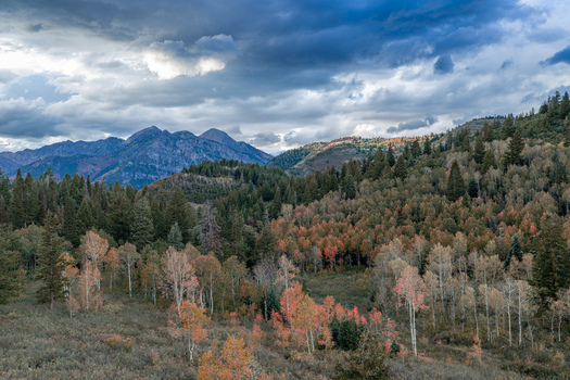 Aerial view of the Alpine Loop Scenic Byway during autumn with vibrant fall foliage evergreen forests and rugged mountains under a dramatic sky in Utah County Utah United States. Aerial view of the Alpine Loop Scenic Byway during autumn with vibrant fall foliage evergreen forests and rugged mountains under a dramatic sky in Utah County Utah United States.