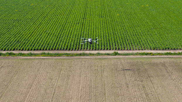 Aerial view of a drone flying over green crop rows and a plowed field separated by a dirt path in Zeewolde Flevoland Netherlands. Aerial view of a drone flying over green crop rows and a plowed field separated by a dirt path in Zeewolde Flevoland Netherlands.