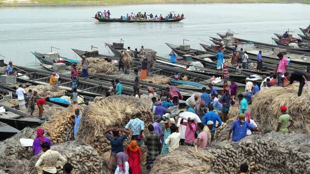 View of workers loading jute onto boats in Jamalpur Bangladesh.
