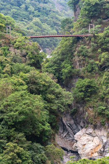 View of the suspension bridge spanning the lush green gorge of Taroko National Park in Xiulin Township Hualien County Taiwan.