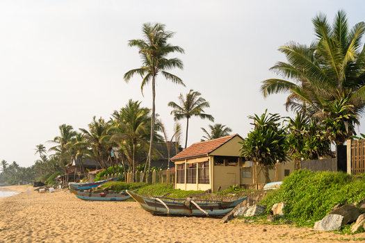 View of traditional outrigger boats resting on the sandy shore lined with palm trees and coastal buildings in Galle Southern Province Sri Lanka.