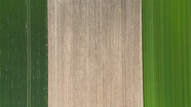 Aerial view of agricultural field patterns with alternating strips of green crops and tilled brown soil in the United Kingdom.