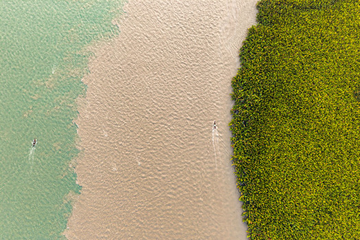 Aerial view of the confluence of green and brown river waters bordered by dense mangrove forests with small boats navigating the currents in Opobo Town Rivers Nigeria. Aerial view of the confluence of green and brown river waters bordered by dense mangrove forests with small boats navigating the currents in Opobo Town Rivers Nigeria.