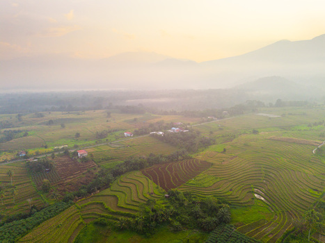 Aerial view of Kemumu rice terraces with lush green fields misty mountains and golden hour light in Arma Jaya Bengkulu Indonesia. Aerial view of Kemumu rice terraces with lush green fields misty mountains and golden hour light in Arma Jaya Bengkulu Indonesia.