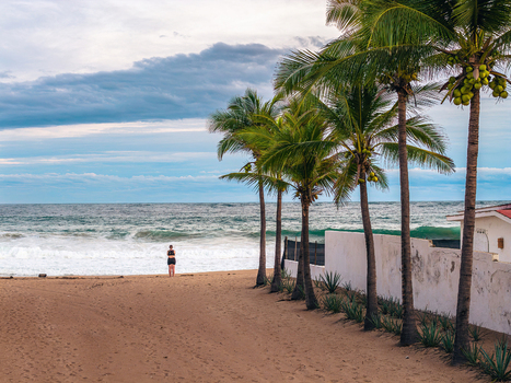 Aerial view of Playa Punta Perula with a person standing on the sand palm trees and a white wall near the ocean in Perula Jalisco Mexico. Aerial view of Playa Punta Perula with a person standing on the sand palm trees and a white wall near the ocean in Perula Jalisco Mexico.