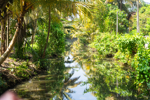 View of a narrow canal surrounded by lush tropical vegetation and palm trees reflecting on the calm water surface in Galle Southern Province Sri Lanka.