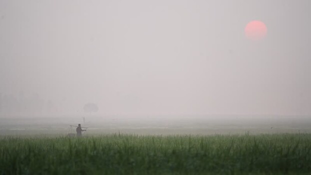 View of a farmer walking through misty fields at sunrise Bangladesh.
