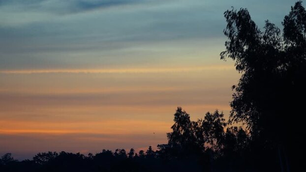 View of sunset sky and silhouetted trees Bangladesh.