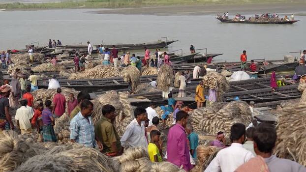 View of workers loading jute bundles onto wooden boats Bangladesh.