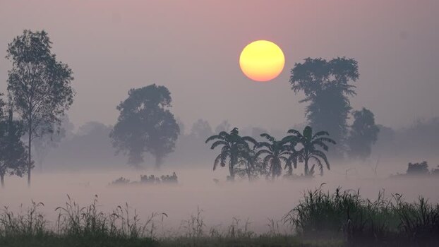 View of a golden sunrise over a misty rural landscape Bangladesh.