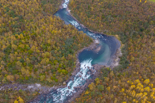 Aerial view of a winding river flowing through a dense forest with autumn foliage featuring rocky rapids and clear blue water in Andalsnes More og Romsdal Norway.