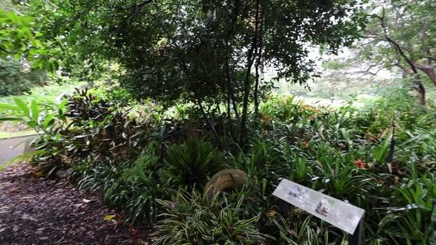 View of Royal Botanic Garden Sydney in Sydney Australia.