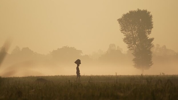 View of a person walking through a misty field at sunrise Bangladesh.