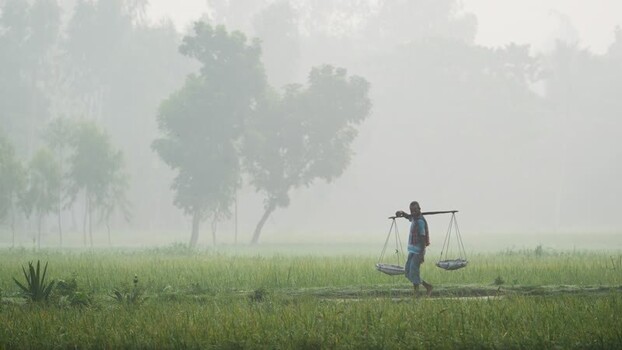 View of a man carrying a yoke through a misty field Bangladesh.
