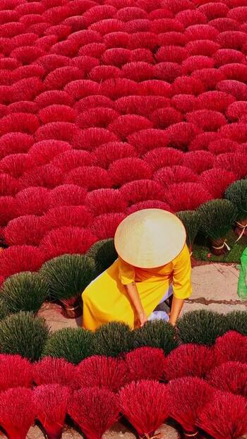 View of person among red incense stick bundles Vietnam.