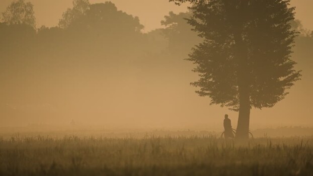 View of a person with a bicycle under a tree in Bogura Bangladesh.