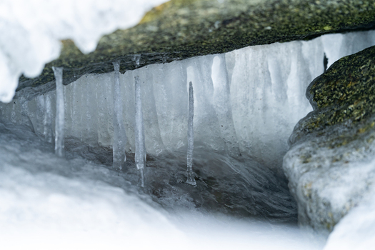 View of icicles hanging from rocks on the coast in winter in Sassnitz Mecklenburg Vorpommern Germany.