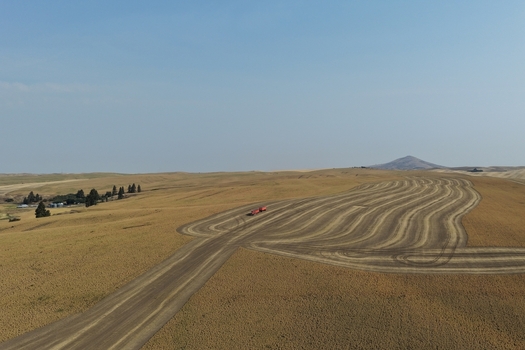Aerial view of the rolling hills and harvested fields of the Palouse region with a dirt road and distant hills under a clear sky in Palouse Washington United States. Aerial view of the rolling hills and harvested fields of the Palouse region with a dirt road and distant hills under a clear sky in Palouse Washington United States.