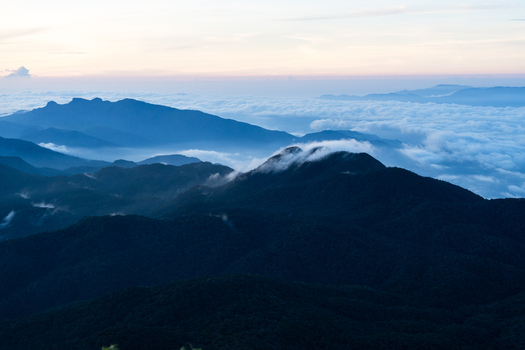 View of Adam s Peak surrounded by a sea of clouds and misty mountain ranges during the blue hour in Ratnapura Sabaragamuwa Province Sri Lanka. View of Adam s Peak surrounded by a sea of clouds and misty mountain ranges during the blue hour in Ratnapura Sabaragamuwa Province Sri Lanka.