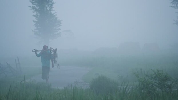 View of a man walking through thick fog in Bogura Bangladesh.
