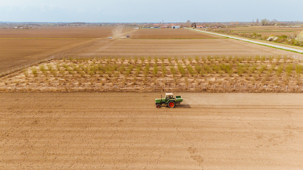 Aerial view of a tractor tilling the rich brown earth amidst neatly planted rows of young trees under a vast sky Sremska Mitrovica Vojvodina Serbia. Aerial view of a tractor tilling the rich brown earth amidst neatly planted rows of young trees under a vast sky Sremska Mitrovica Vojvodina Serbia.