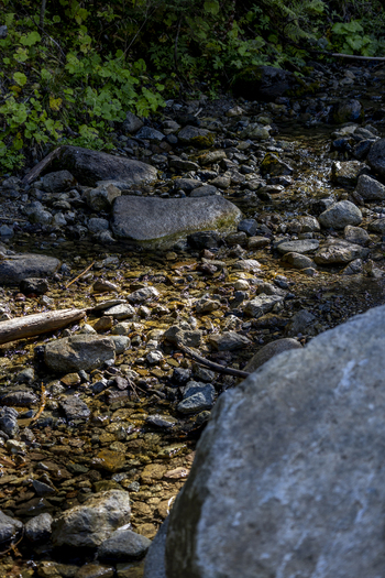 View of a shallow rocky stream flowing through a forest with mossy stones and clear water in Bukowina Tatrzanska Lesser Poland Voivode Poland. View of a shallow rocky stream flowing through a forest with mossy stones and clear water in Bukowina Tatrzanska Lesser Poland Voivode Poland.