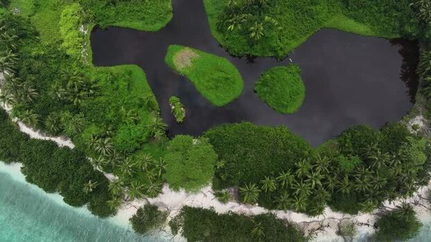 Aerial view of a tropical island with lush vegetation Maldives. Aerial view of a tropical island with lush vegetation Maldives.