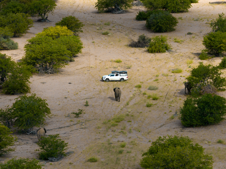 Aerial view of a lone elephant strides across the ochre sands a vehicle nearby framed by verdant shrubs under the vast Namibian sky Uis Namibia.