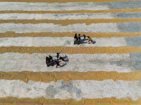 Brahmanbaria Bangladesh 25 January 2026 Aerial view of workers pulling wooden carts across rows of drying rice grain in a traditional rice mill yard.