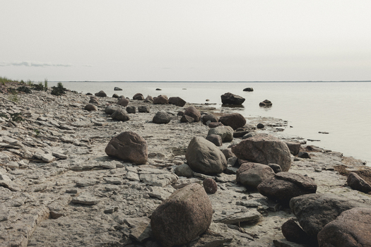 Saxby Laane maakond Estonia 01 June 2025 View of Saxby rannik with large boulders scattered across the limestone shore along the calm Baltic Sea under a soft overcast sky.
