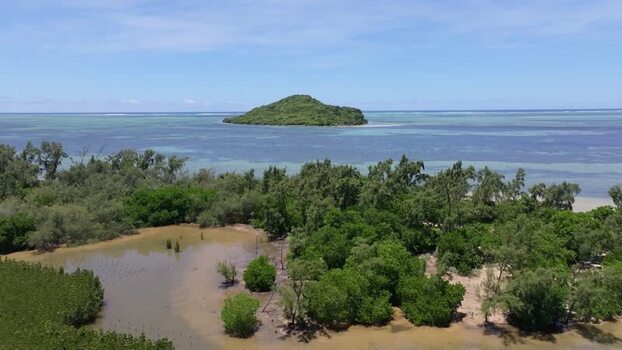 Aerial view of mangroves and island near the coast Mauritius.