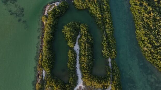 Aerial view of Yucalpeten mangroves and water channels Mexico. Aerial view of Yucalpeten mangroves and water channels Mexico.