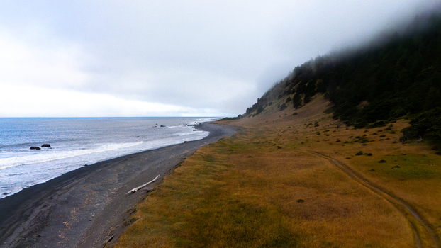 Aerial view of the rugged Lost Coast shoreline featuring a dark sand beach grassy dunes and a misty forested hillside under a cloudy sky in Humboldt County California United States.