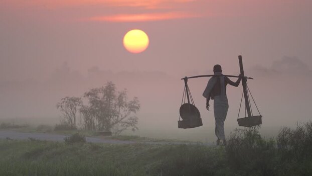 View of a man carrying a yoke in a misty field at sunrise Bangladesh. View of a man carrying a yoke in a misty field at sunrise Bangladesh.