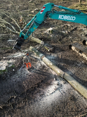 Netherlands 06 July 2026 Aerial view of a logger working with a chainsaw near a Kobelco excavator in a forest clearing with felled tree trunks and muddy ground. Netherlands 06 July 2026 Aerial view of a logger working with a chainsaw near a Kobelco excavator in a forest clearing with felled tree trunks and muddy ground.