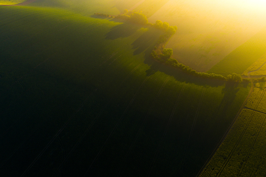 Aerial view of rolling green agricultural fields illuminated by warm golden hour sunlight with long shadows and a line of trees in Kyjov South Moravian Region Czechia.