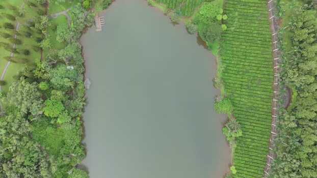 Aerial view of Bois Cheri tea plantation in Mauritius. Aerial view of Bois Cheri tea plantation in Mauritius.