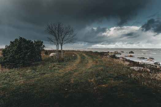 View of Vormsi island coastline with a grassy path leading towards the rocky shore under a dramatic stormy sky in Laane County Estonia.