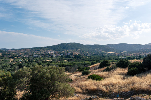 View of the Ancient Theatre of Thorikos archaeological site overlooking a lush valley with olive groves and rolling hills under a bright sky in Thoricus Greece.
