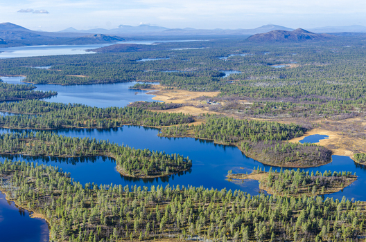 Aerial view of Rogen nature reserve featuring interconnected lakes dense pine forests and distant mountains in Tannas Jamtland County Sweden.