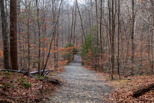 View of a gravel path cutting through a forest of bare trees with scattered leaves on the ground creating a serene woodland scene Scott s Run Nature Preserve Virginia United States. View of a gravel path cutting through a forest of bare trees with scattered leaves on the ground creating a serene woodland scene Scott s Run Nature Preserve Virginia United States.