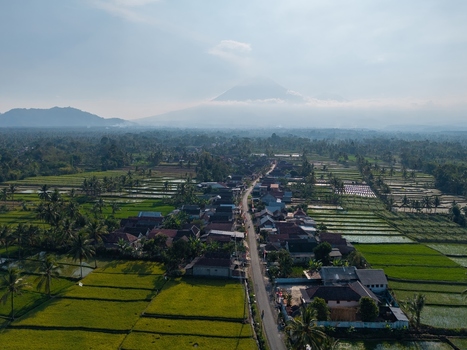 Aerial view of the village of Candipuro surrounded by lush green rice paddies and palm trees with a large volcano in the background in Candipuro East Java Indonesia.