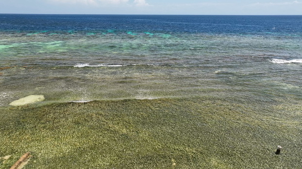 Aerial view of the turquoise waters and coral reef off the coast of West End Bay Islands Department Honduras.
