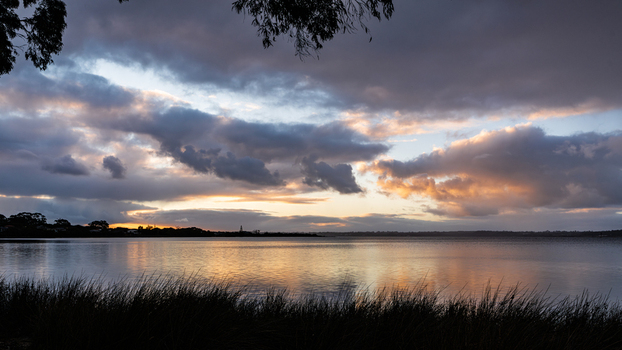 View of the calm waters of Oyster Harbour at sunset with silhouetted grasses in the foreground and dramatic clouds in the sky in Little Grove Western Australia Australia. View of the calm waters of Oyster Harbour at sunset with silhouetted grasses in the foreground and dramatic clouds in the sky in Little Grove Western Australia Australia.