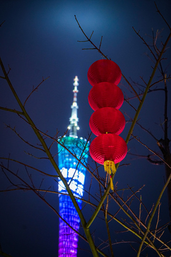 Guangzhou Guangdong Province China 23 February 2024 View of red lanterns hanging on tree branches with the illuminated Canton Tower in the background at night. Guangzhou Guangdong Province China 23 February 2024 View of red lanterns hanging on tree branches with the illuminated Canton Tower in the background at night.