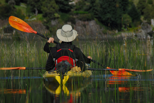 View of a person in a yellow kayak paddling through tall reeds on the calm waters of Nahuel Huapi Lake in San Carlos de Bariloche Rio Negro Argentina. View of a person in a yellow kayak paddling through tall reeds on the calm waters of Nahuel Huapi Lake in San Carlos de Bariloche Rio Negro Argentina.